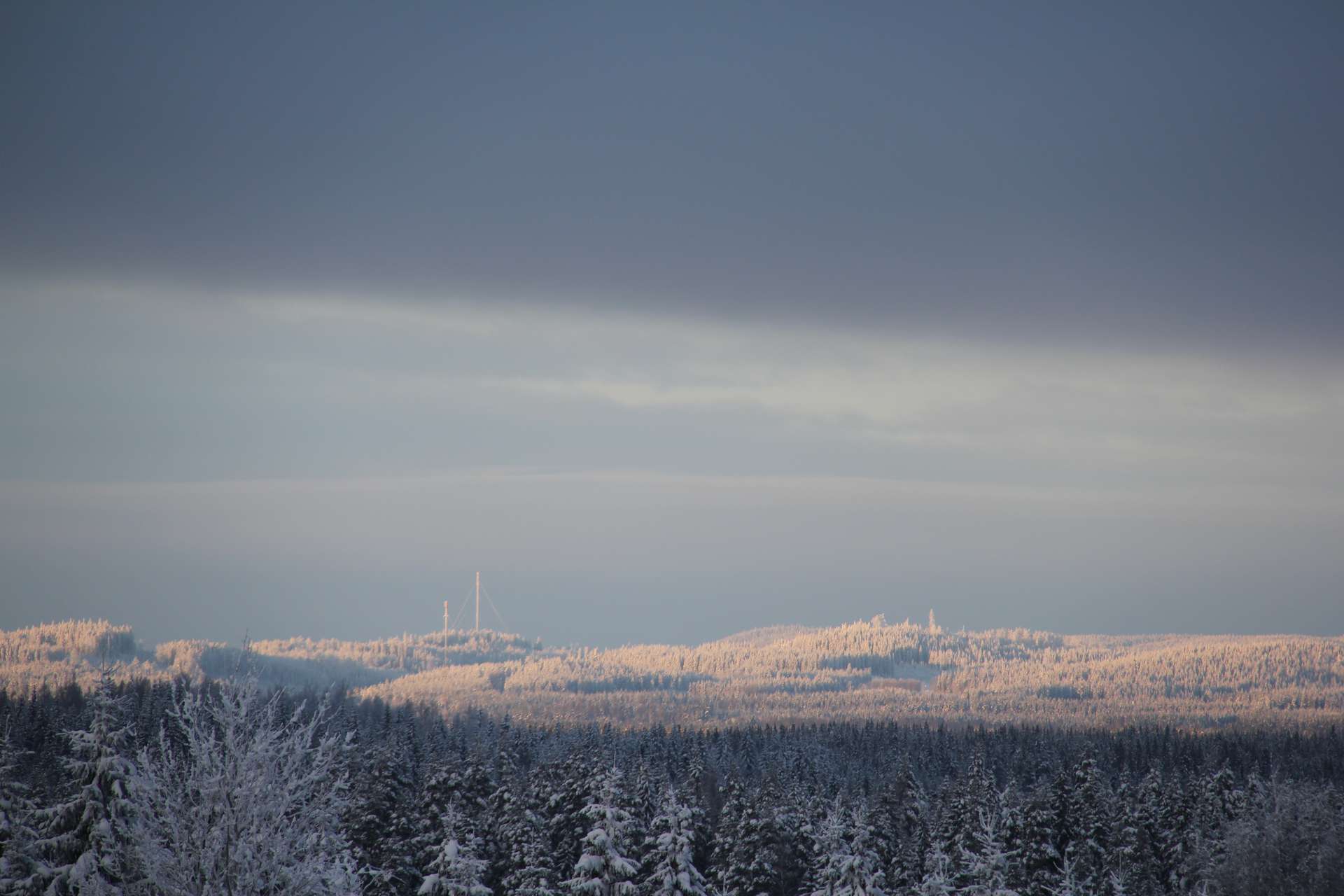 Maisema